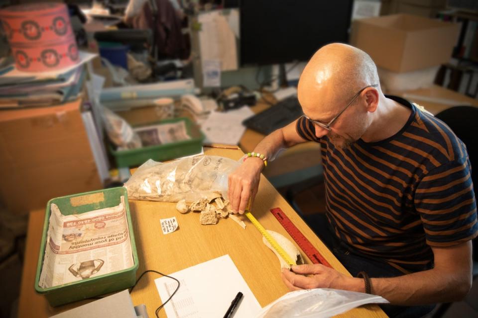 Specialist examining animal bone from the pits (Albion Archaeology)