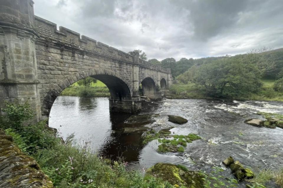 Bradford Telegraph and Argus: Does your dog like to splash in the river?