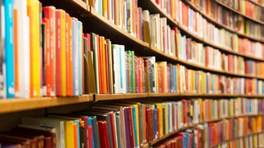 The largest school district in Texas has come under fire for stating it would turn school libraries into “team centers” plus eliminate the roles of librarians and media specialists at 28 campuses to create spaces for misbehaved children. (Photo: Adobe Stock)