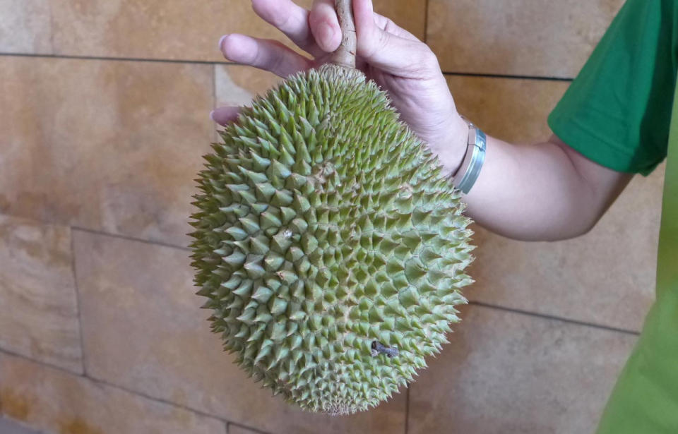 The Ang Hae can be distinguished by its brownish-green rind with small spines. (Photo by: Erin Kimbrell/Yahoo Singapore)