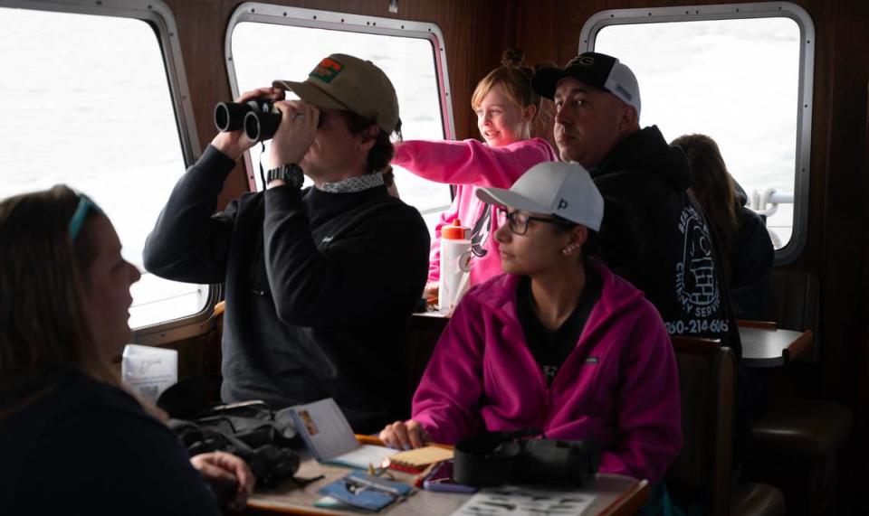 Families look for wildlife while riding the Red Head whale watching passenger ferry from Port Townsend to Friday Harbor on San Juan Island on Monday, June 26, 2023.