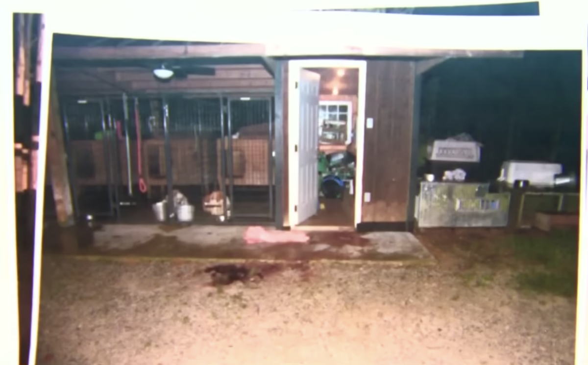 The feeding room of the dig kennels where Paul was ambushed and shot by his killer (FOX19)