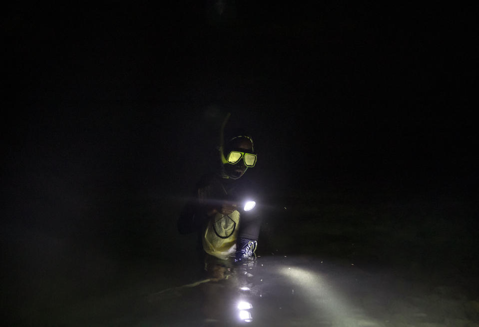 Nicholas Bingham enters the water to go night spearfishing, which is banned, in Stewart Town, Jamaica, Friday, Feb. 15, 2019. "From the time I was born fishing is all I do. It's my bread and butter," said Bingham. "There's not many other jobs to do. What am I going to do, take up a gun? (AP Photo/David Goldman)