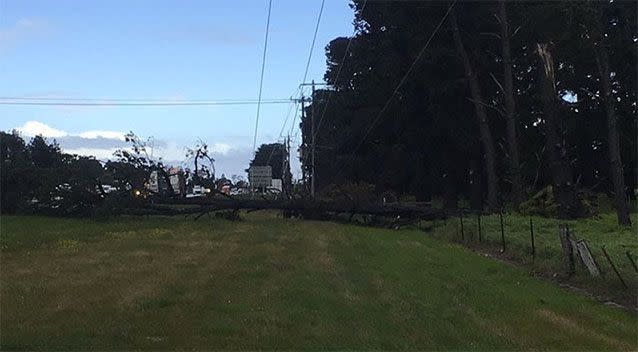 High winds are causing power outages in areas of Victoria. Picture: Powercor Australia