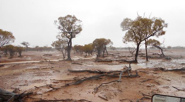 After the rains have passed. Photo: Higgins Storm Chasing/Facebook