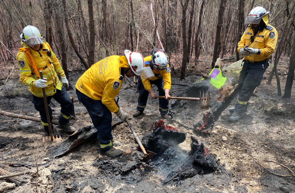 NSW firefighters work in a charred forest.