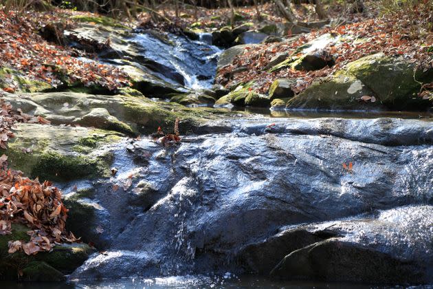 A small creek runs through a farm in Cherryville. (Photo: Brian Blanco for HuffPost)