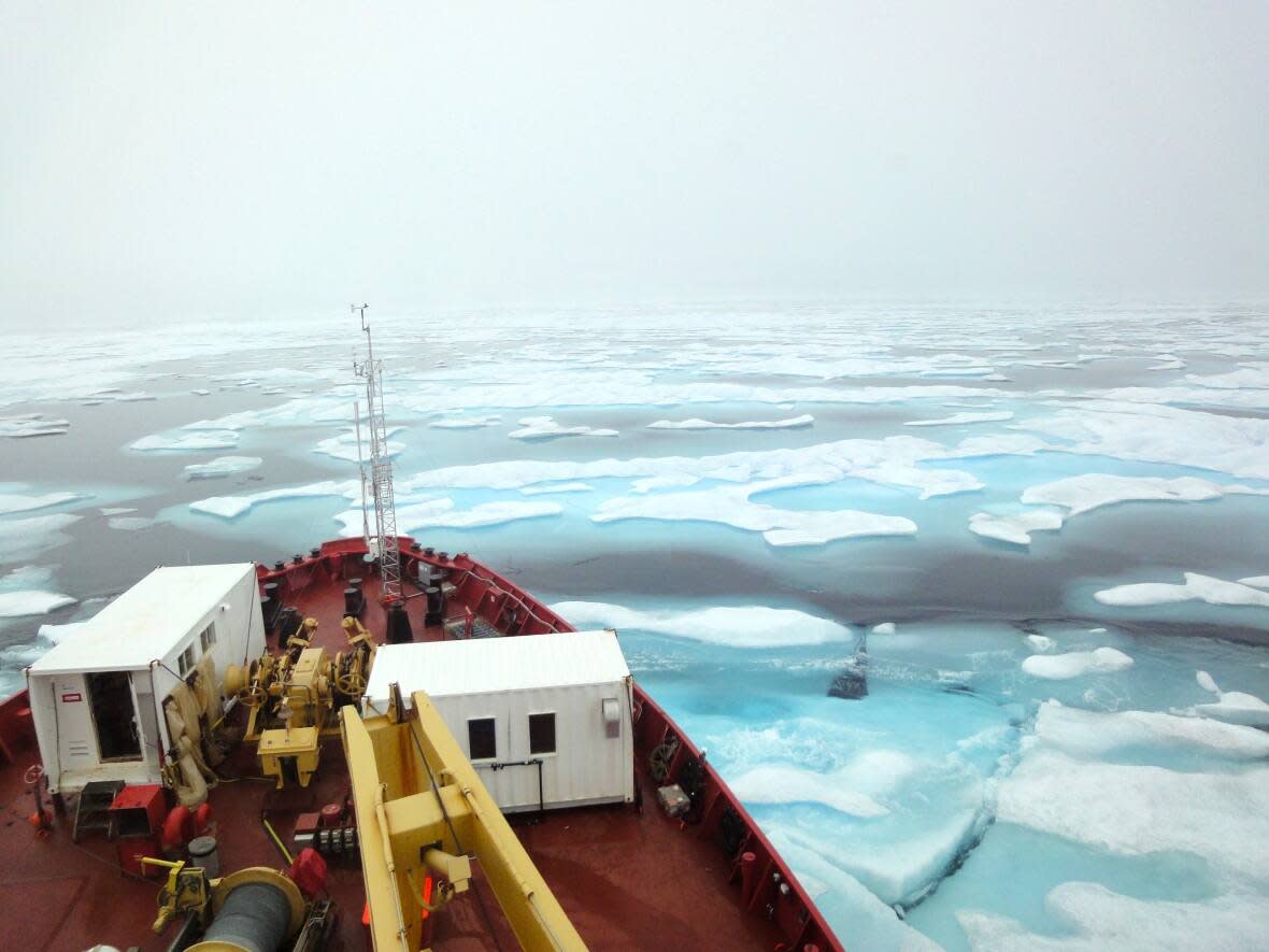 The Canadian Coast Guard icebreaker, the Amundsen, ploughs through ice in the northern route of the Northwest Passage in 2010. (Jane George/CBC - image credit)