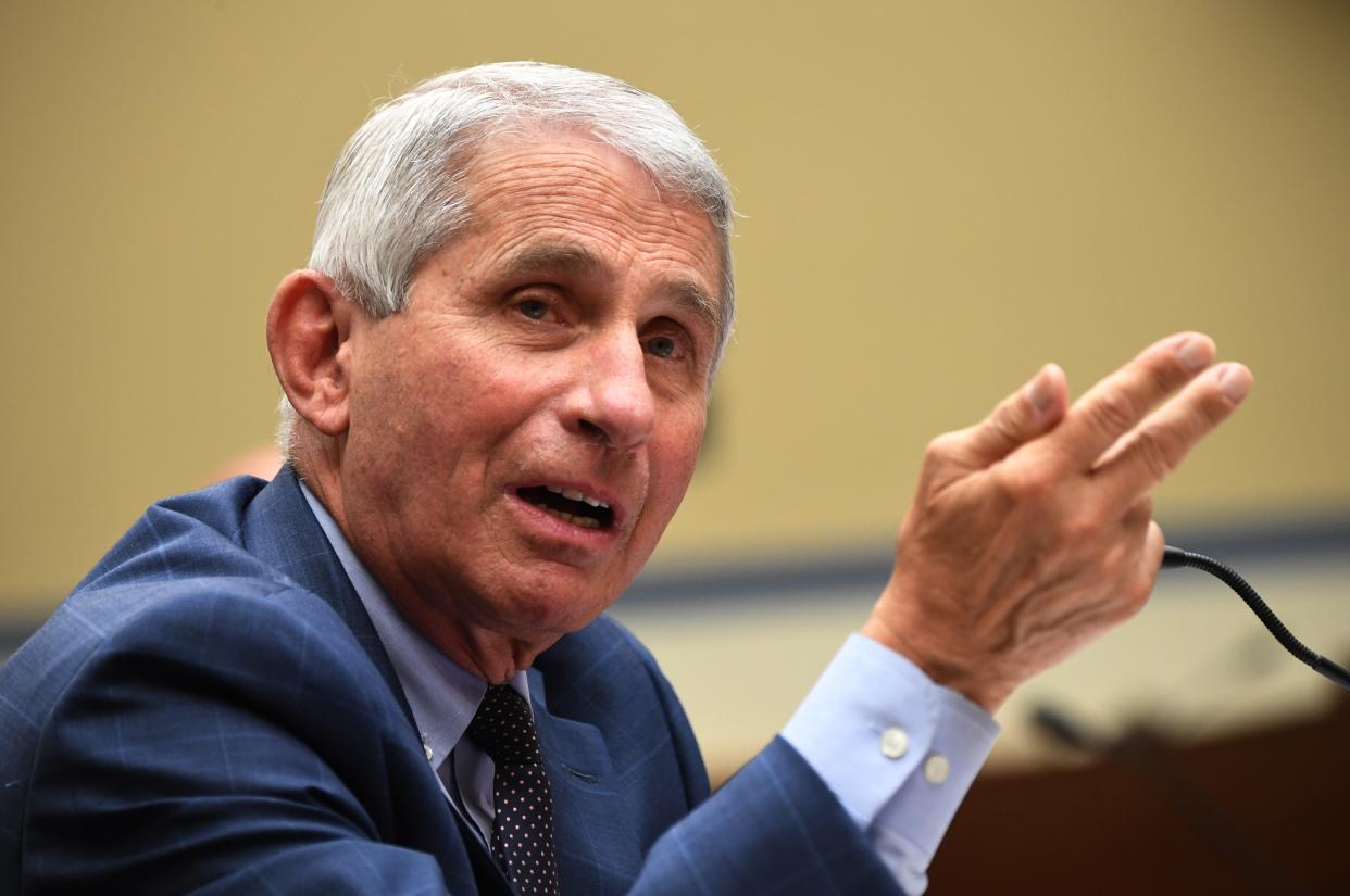 <p>Anthony Fauci described Steve Bannon’s beheading threat as ‘really kind of unusual’</p><p> </p> (Photo by Kevin Dietsch-Pool/Getty Images)