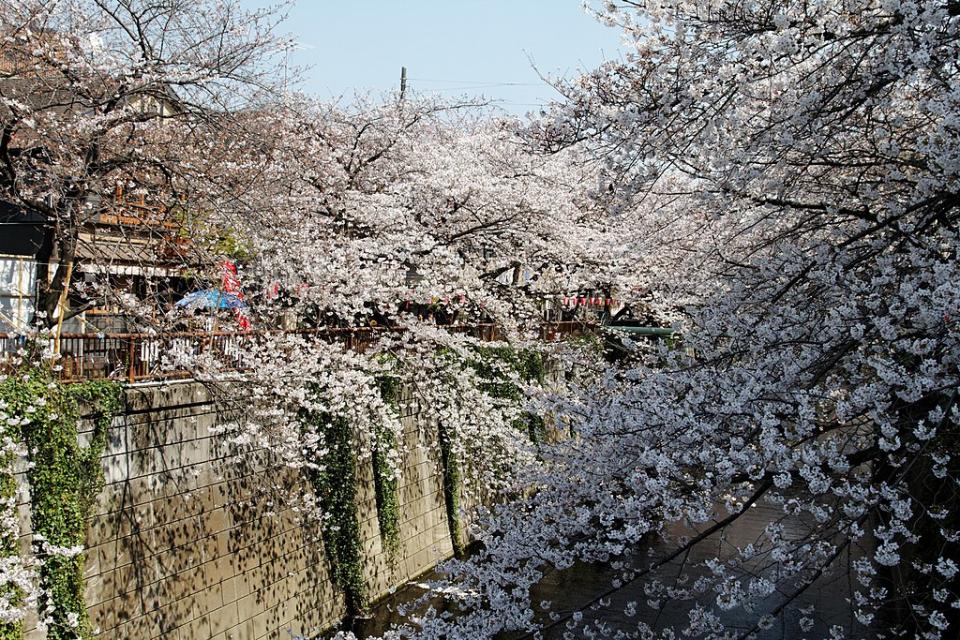 目黑川 (Photo by KimonBerlin, License: CC BY-SA 2.0, Wikimedia Commons提供, 圖片來源www.flickr.com/photos/kimon/5735417313)