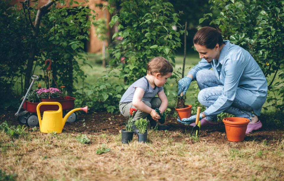 Start gardening.