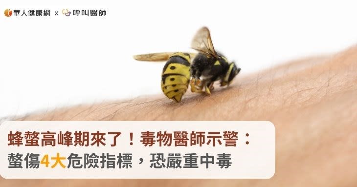 蜂螫高峰期來了！毒物醫師示警：螫傷4大危險指標，恐嚴重中毒