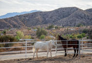 <p>You can arrange for private trail rides or hike through the beautiful surroundings. (Airbnb) </p>