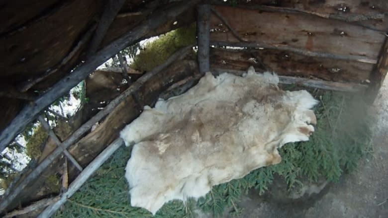 Would you pay to sleep in a traditional-style, birch-bark shelter? This Yukon tourism business thinks so