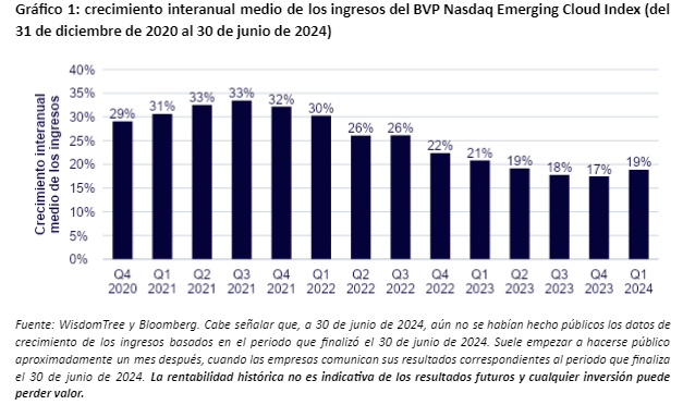 Alerta contraria: ¿Es hora de fijarse en las empresas de software?