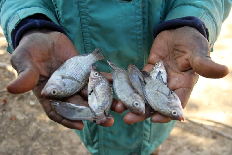 Modeste Traore, de 56 años, muestra la escasa pesca del día en el lago Wegnia, en la región de Sahel. November 23, 2019. REUTERS/Arouna Sissoko