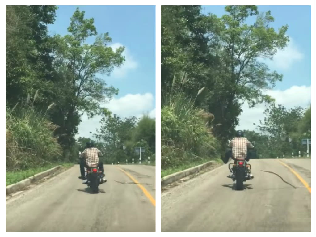 This snake tried to bite a motorcyclist in Thailand, and the footage is terrifying