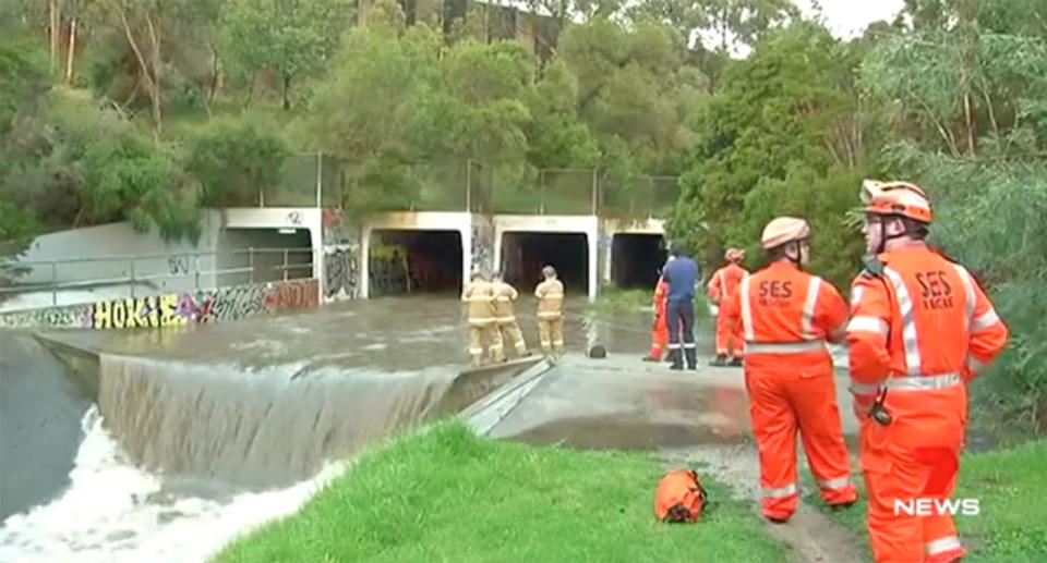 Twenty-four fire fighters pulled the family to safety in a half-hour operation. Source: 7 News