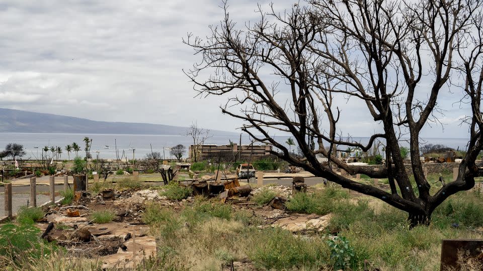 Burned trees and debris of a property damaged by last year's wildfire are seen in Lahaina, Hawaii, on May 3, 2024. - Mengshin Lin/The Washington Post/Getty Images