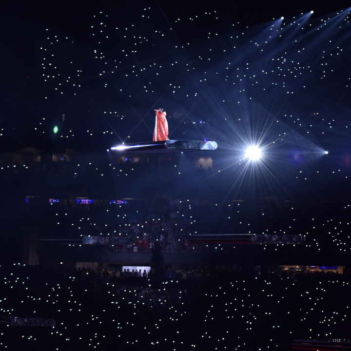 Rihanna performs during the Halftime show