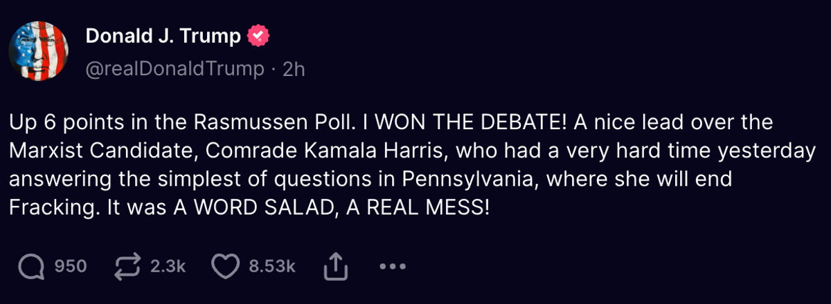 Trump posted about Harris’s interview on his social media platform Truth Social on Saturday morning, writing that it was ‘a world salad, a real mess!’ (Truth Social)