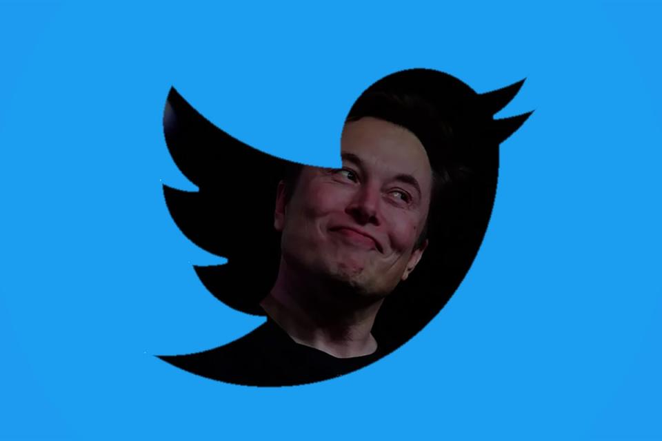 Elon Musk has 133 million followers on Twitter (Evening Standard composite)