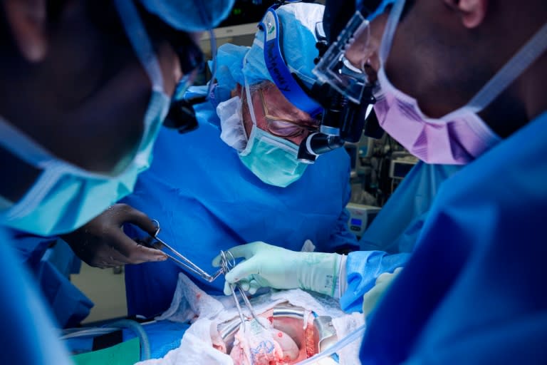 Surgeon Robert Montgomery assists in lowering the gene-edited pig kidney into patient Lisa Pisano's abdomen on April 12, 2024 (Joe CARROTTA)