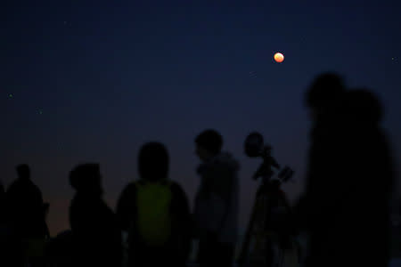 People monitor the moon during a total lunar eclipse in Vienna, Austria, January 21, 2019. REUTERS/Lisi Niesner