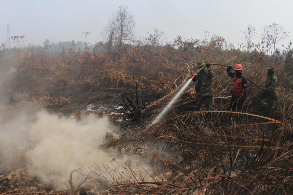 Soldiers and a fire fighter spray water to extinguish forest fire at a peatland field in Kampar, Riau province, Indonesia, Tuesday, Sept. 17, 2019. Indonesian authorities have deployed more personnel and aircraft to battle forest fires that are spreading a thick, noxious haze around Southeast Asia. (AP Photo/Rafka Majjid)