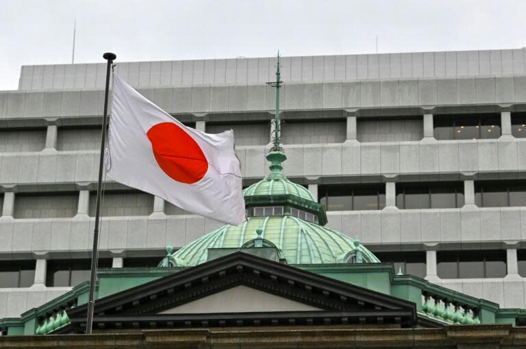 日本小鎮將架網遮住富士山 不滿拍照<a class="link " href="https://hk.news.yahoo.com/tag/遊客" data-i13n="sec:content-canvas;subsec:anchor_text;elm:context_link" data-ylk="slk:遊客;sec:content-canvas;subsec:anchor_text;elm:context_link;itc:0">遊客</a>沒規矩