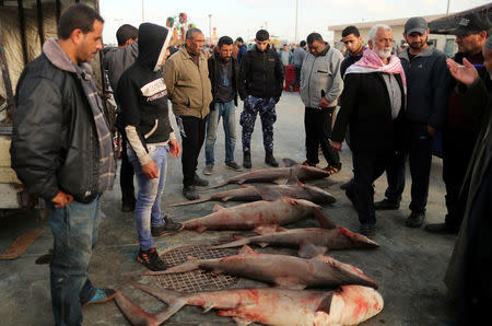 People look at fish put on sale at the seaport of Gaza City, after Israel expanded fishing zone for Palestinians April 2, 2019. REUTERS/Suhaib Salem