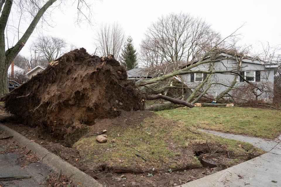 An uprooted tree lays on a house in Grand Blanc, Mich., on Wednesday, Feb. 28, 2024 after two tornadoes caused damage early Wednesday in parts of Michigan.