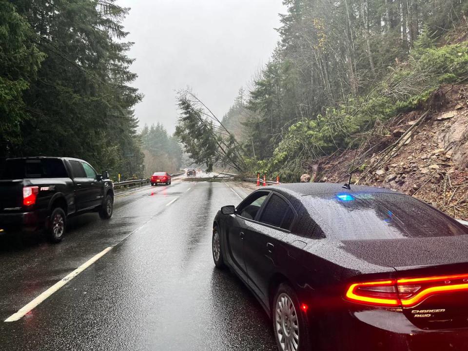 A small landslide caused a trees to fall across northbound lanes of Interstate 5 south of Bellingham on Sunday, Nov. 28, 2021.