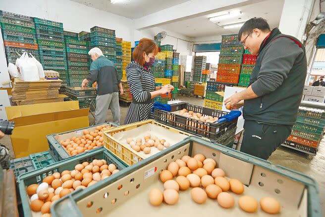 雞蛋產地價、批發價均漲2元，重回去年7月的歷史新高價，台北市雞蛋大盤商16日加緊腳步將批來的雞蛋清理、秤重後，分裝成下游廠商需要的數量。（杜宜諳攝）