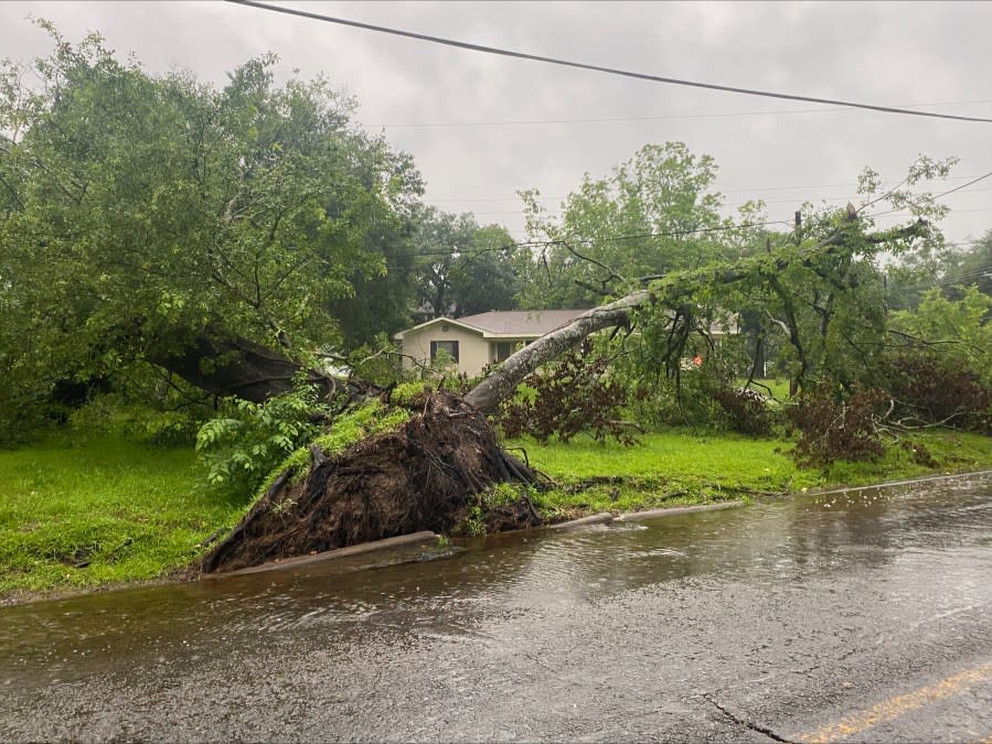 Downed trees in Lufkin. Photo courtesy of the City of Lufkin.