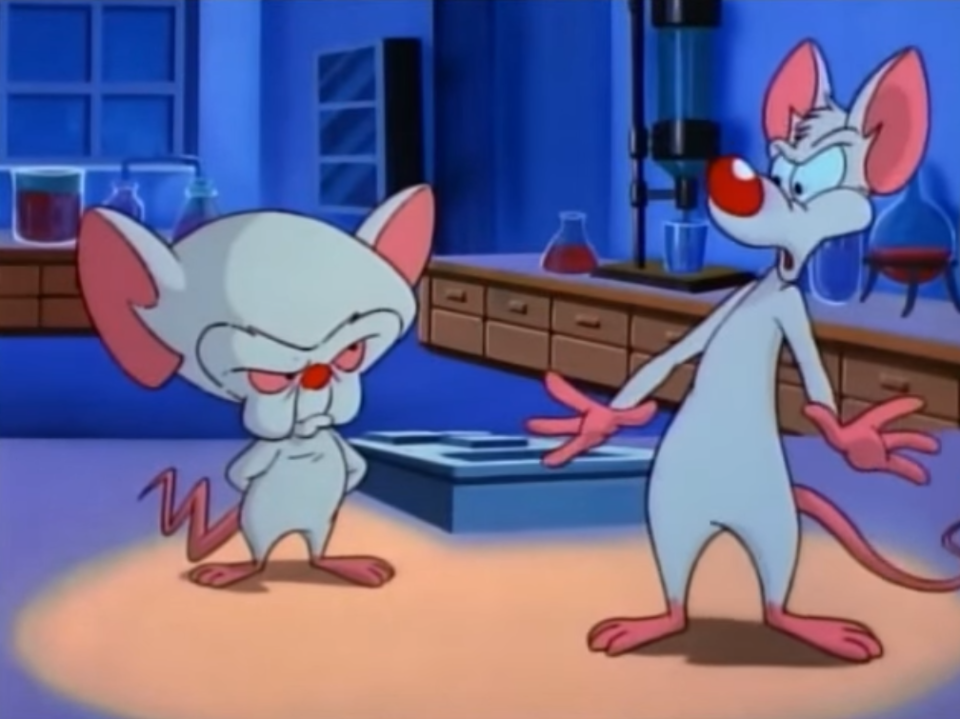 Pinky and The Brain 