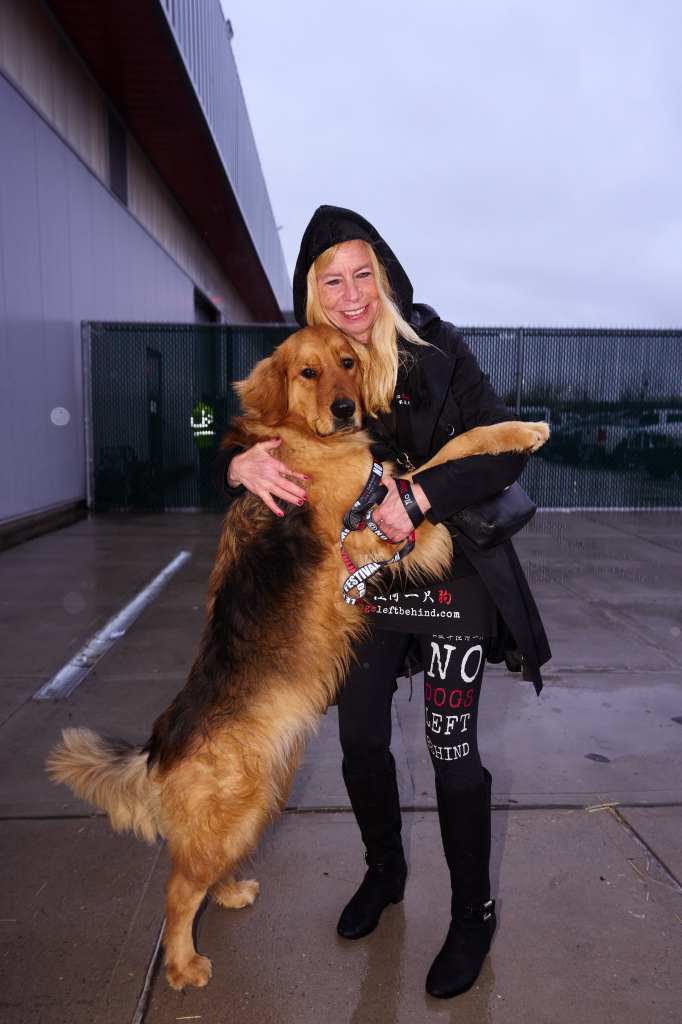 Maura Platz, a volunteer at No Dogs Left Behind, with a dog named Rogue at JFK Airport. James Keivom