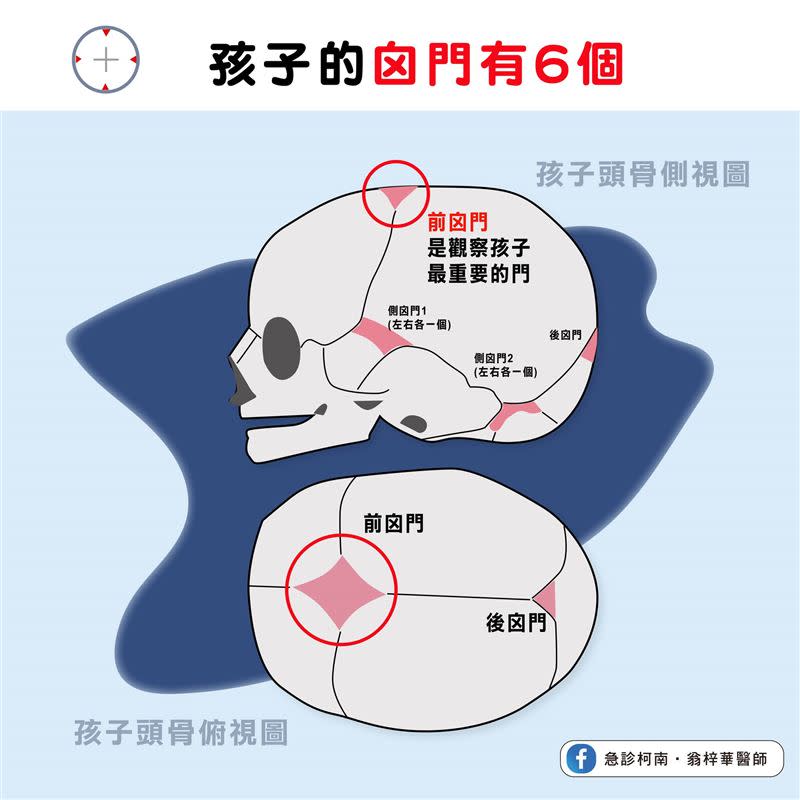 急診醫師分享「囟門」的相關知識。（圖／急診科南翁梓華醫師授權）