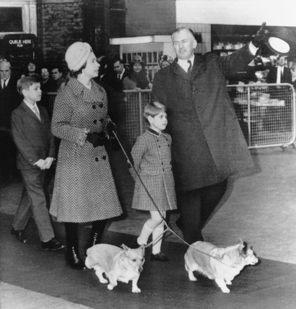 queen elizabeth ii corgis