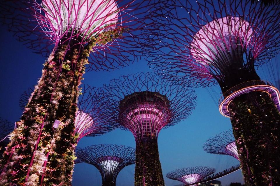 新加坡必遊景點、位在位在濱海灣公園內的「天空樹Supertree Grove」