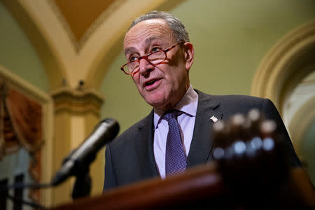 FILE PHOTO: Senate Democratic Leader Chuck Schumer (D-N.Y.) speaks about the Florida U.S. Senate election, in the U.S. Capitol, in Washington, U.S., November 13, 2018. REUTERS/Al Drago