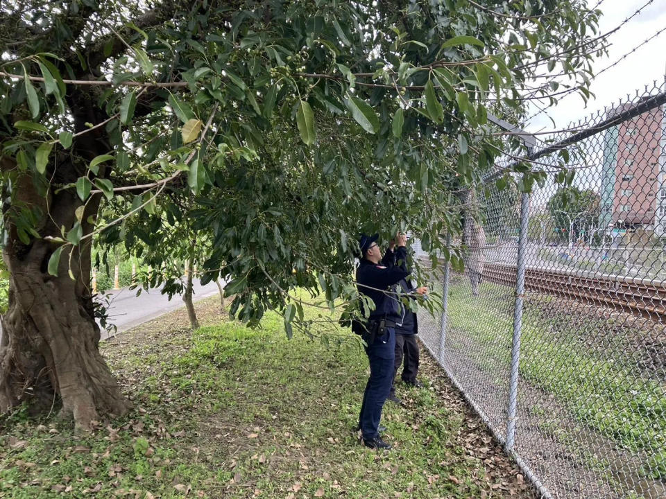 <strong>轄區員警趕到現場，圍捕闖入軌道的女子。（圖／翻攝畫面）</strong>