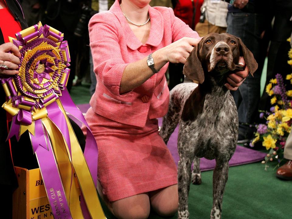 westminster winner 2005