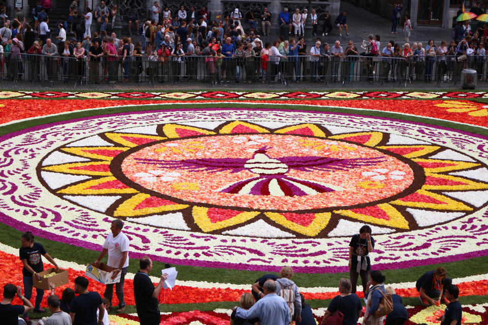 FOTOS | México protagoniza tradicional alfombra floral gigante de Bruselas