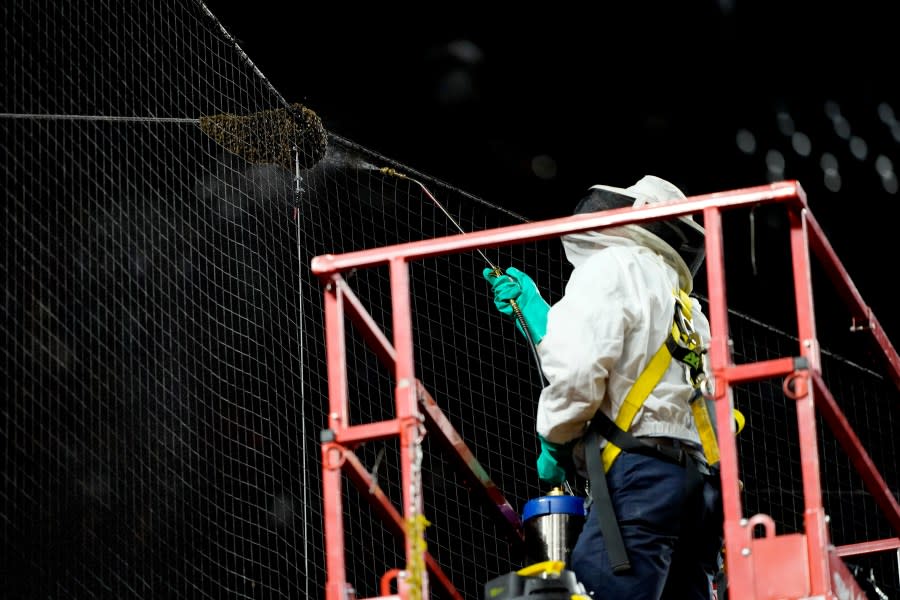 A bee keeper removes a swarm of bees gathered on the net behind home plate delaying the start of a baseball game between the Los Angeles Dodgers and the Arizona Diamondbacks, Tuesday, April 30, 2024, in Phoenix. (AP Photo/Matt York)