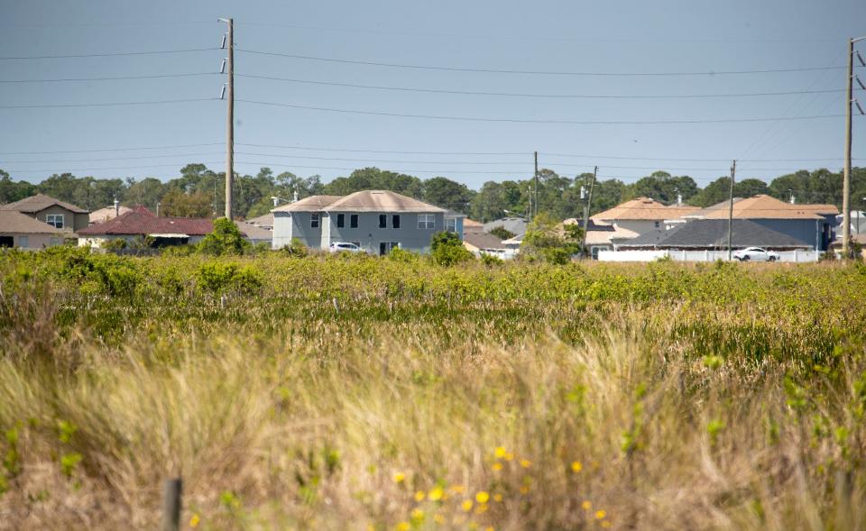 Home development along Marigold Avenue, seen from Creek Legacy Ranch, shows what the western portion of the ranch could have become.