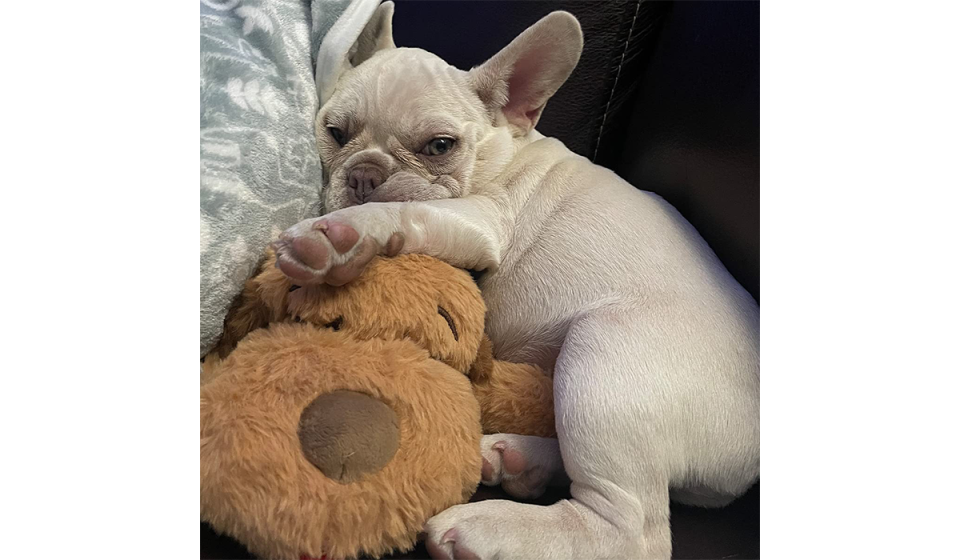 This stuffie with a heartbeat is a pup's best friend. (Photo: Amazon)