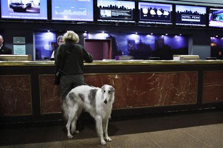 A dog arrives with its handler at the Hotel Pennsylvania as part of the Westminster Dog Show in New York February 7, 2014. REUTERS/Eduardo Munoz