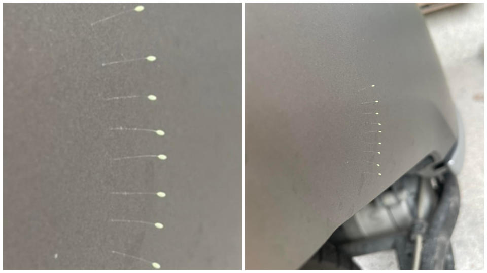 有網友分享自己的車子出現了13根類似大頭針的物品。（圖／翻攝自臉書社團「爆系知識家」）