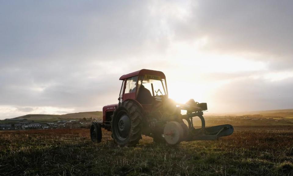 <span>Photograph: Ian Forsyth/Getty Images</span>